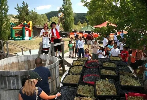 Annual Julian Grape Stomp Festa