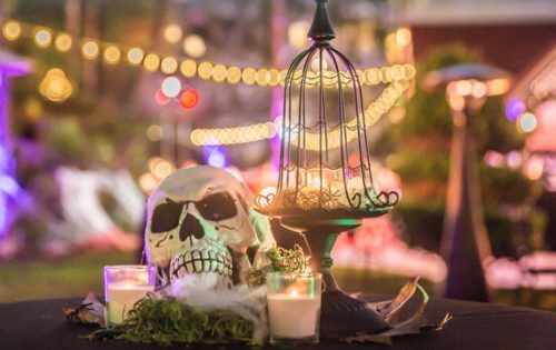 hallowine and spirits party 2017