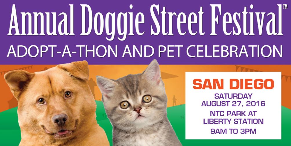 Annual Doggie Street Festival 2016